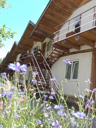 Фотографии апарт отеля
Простоквашино