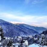 Фотография гостевого дома Casa Miu