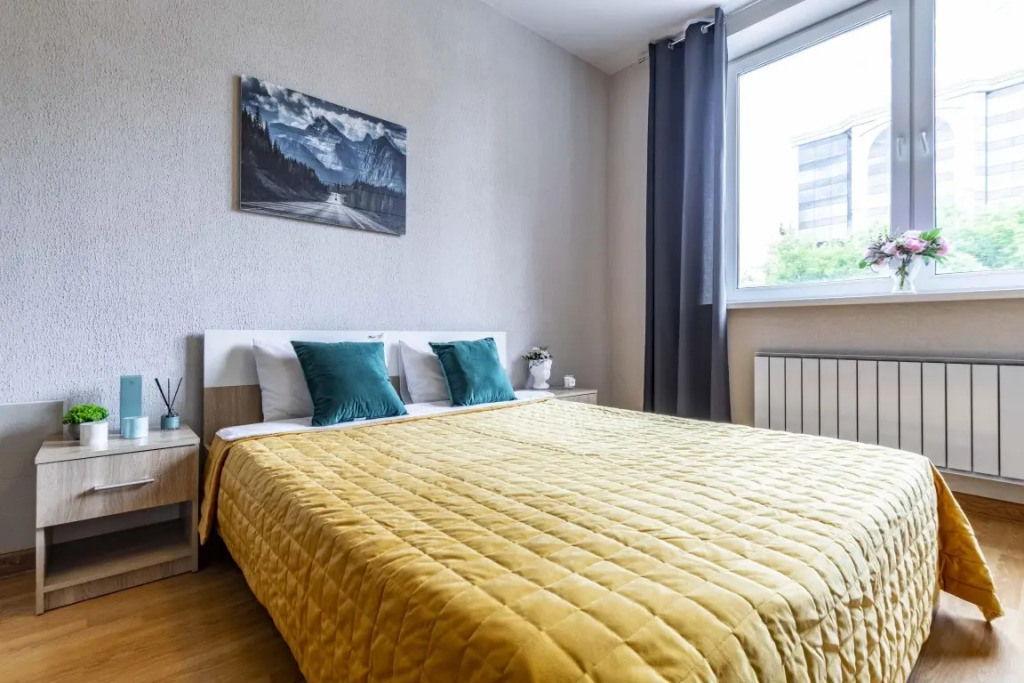 Фотография квартиры Апартаменты Белинского 30 (207)