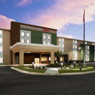 Фотографии гостиницы
SpringHill Suites by Marriott Mobile West