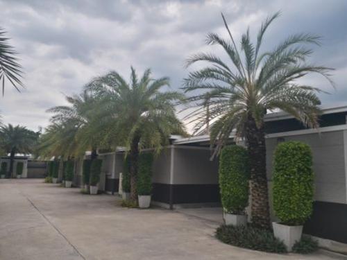 Фотография гостиницы The 9 Resort