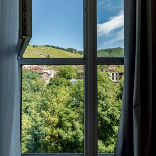 Фотография квартиры Апартаменты Гортензия Ирины Савельевой в парке с видом на горы