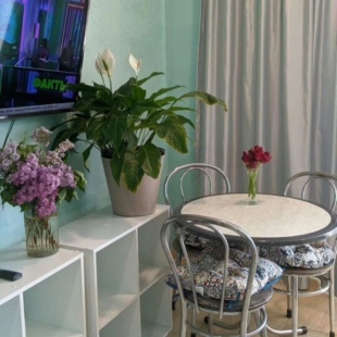 Фотография квартиры Апартаменты Студия 1 3