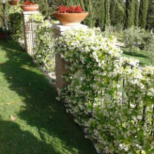 Фотографии мини отеля
B&B La Piaggia