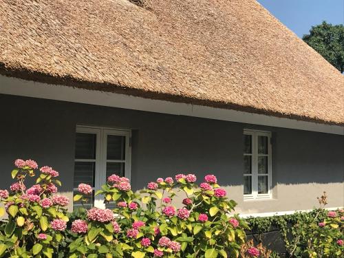 Фотография гостевого дома Lütt Reethuus