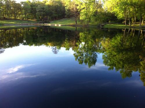 Фотография гостевого дома Dogwood Springs Lodgings