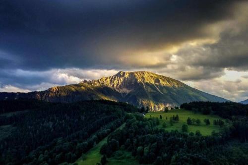 Фотография гостевого дома Das Haus am Berg: Nestelberg17