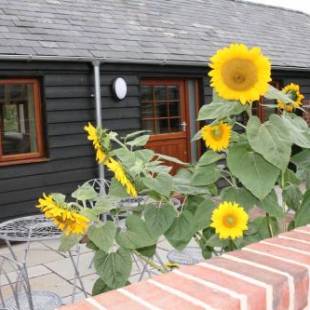 Фотографии гостевого дома 
            Blashford Manor Holiday Cottage - The Dartmoor Cottage