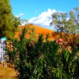 Фотография мини отеля Auberge Ocean des dunes