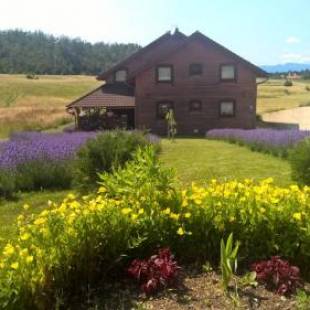 Фотографии гостевого дома
Boutique Hotel Japodi