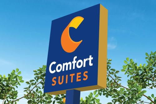 Фотография гостиницы Comfort Suites Gainesville Near University