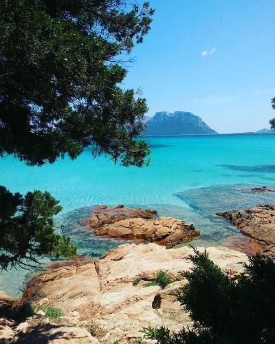 Фотография мини отеля B&B Somiar