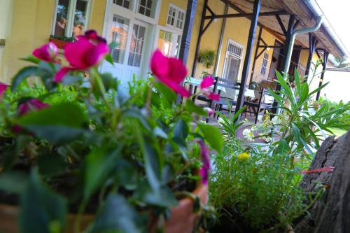 Фотография гостевого дома Villa Ricz