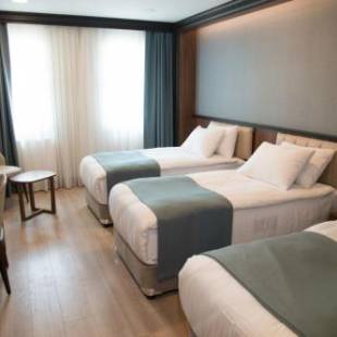 Фотографии гостиницы
Valens Hotel İstanbul