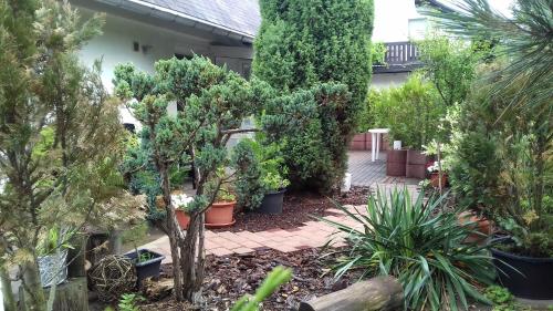 Фотография гостевого дома Pension Mark