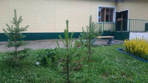 Фотографии гостевого дома Радуга