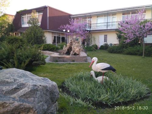 Фотография мини отеля Ривьера