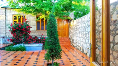 Фотография хостела Temur Guest House