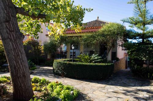 Фотография гостевого дома The Orange Lemon Tree House