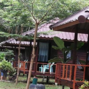 Фотография гостевого дома Eco Bungalow