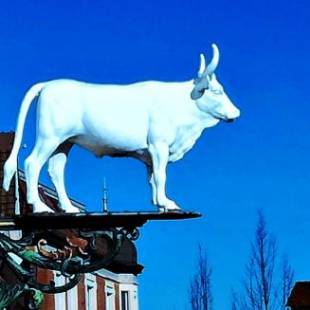 Фотографии гостиницы 
            Hotel zum Weissen Ochsen