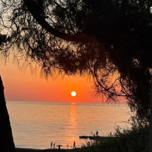 Фотография квартиры Apartment ТАУНХАУС  В КП ТЮЛЬПАНОВКА