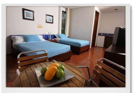 Фотография гостиницы Hotel Los Girasoles