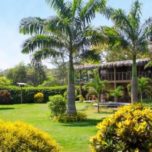 Фотографии гостиницы 
            Hotel Kundalini