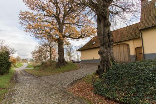 Фотография гостевого дома Clayshoeve