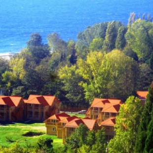 Фотография базы отдыха Парк-отель Озеро Дивное