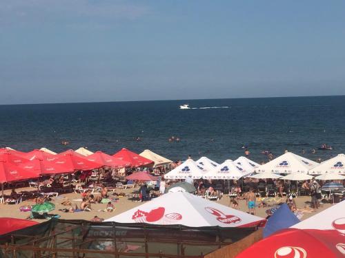 Фотографии мини отеля
У моря в Черноморске