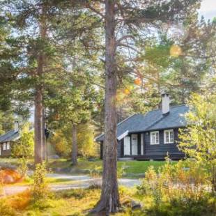 Фотографии гостевого дома
Geilolia Hyttetun