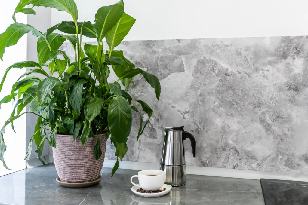 Фотография квартиры FlatStay (ФлэтСтей) на улице Рылеева 16