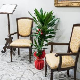 Фотографии мини отеля
LE BERCEAU