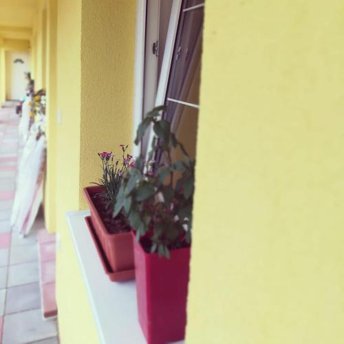 Фотография мини отеля Zlatno 66