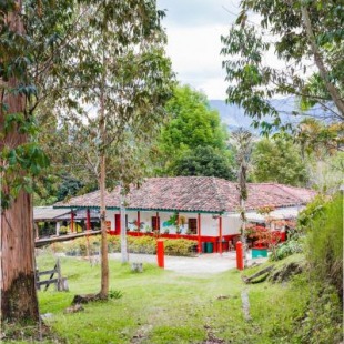 Фотография кемпинга Finca en Salento