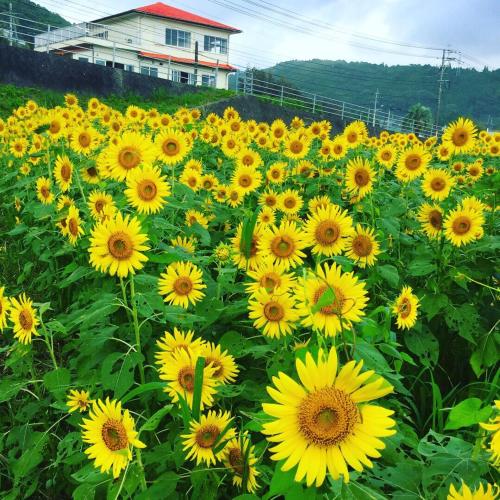 Фотография гостевого дома Guesthouse ＆ Beach Cafe Fuego