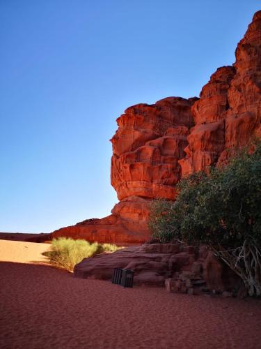 Фотография кемпинга Star Walk Camp & Tours