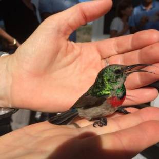 Фотографии гостевого дома
Farr Out Guest House