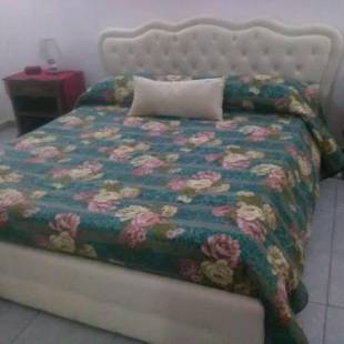 Фотографии мини отеля 
            B&B Il Tulipano