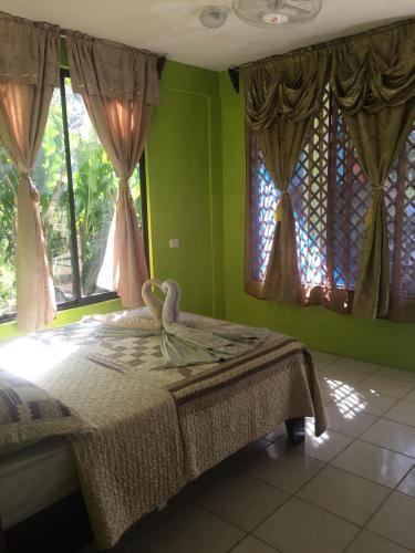 Фотография гостиницы Los Amigos Jungle Hotel Tortuguero