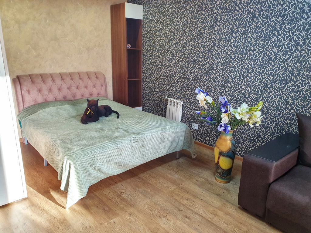 Фотография квартиры Апартаменты Багира - рядом Протон-Арена, бассейн ДВВС, СКАД, въезд в город, Р228