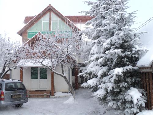 Фотография гостевого дома Randevú Panzió