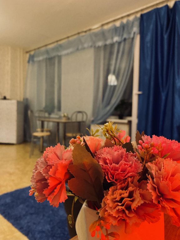 Фотография квартиры К энд К Апартментс на улице Полевая 10