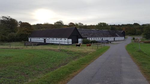 Фотография базы отдыха Lehnsgaard Ranch