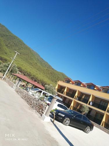 Фотографии апарт отеля 
            Olive Tree Apart Hotel