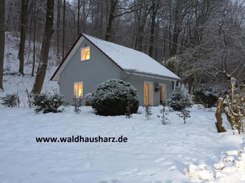 Фотография гостевого дома "das Waldhaus"