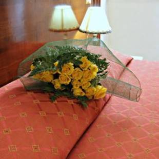 Фотографии гостиницы
Hotel Rosetta