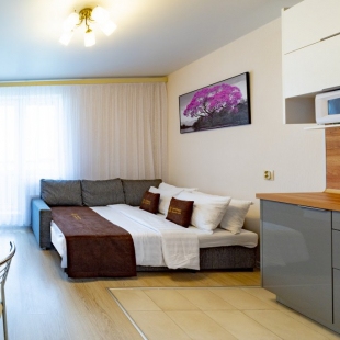 Фотография квартиры Апартаменты InnDays Рязановское шоссе 31к1 (5)