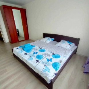 Фотография квартиры Апартаменты Гагарина 62/868